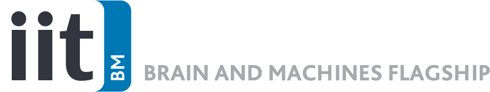 IIT
